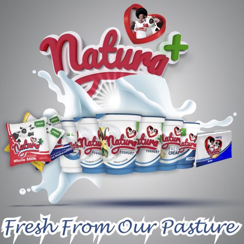 nachra.ai new